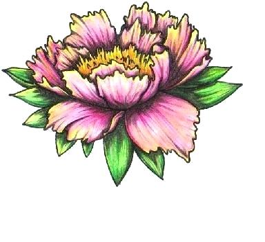 384x351 Peony Design