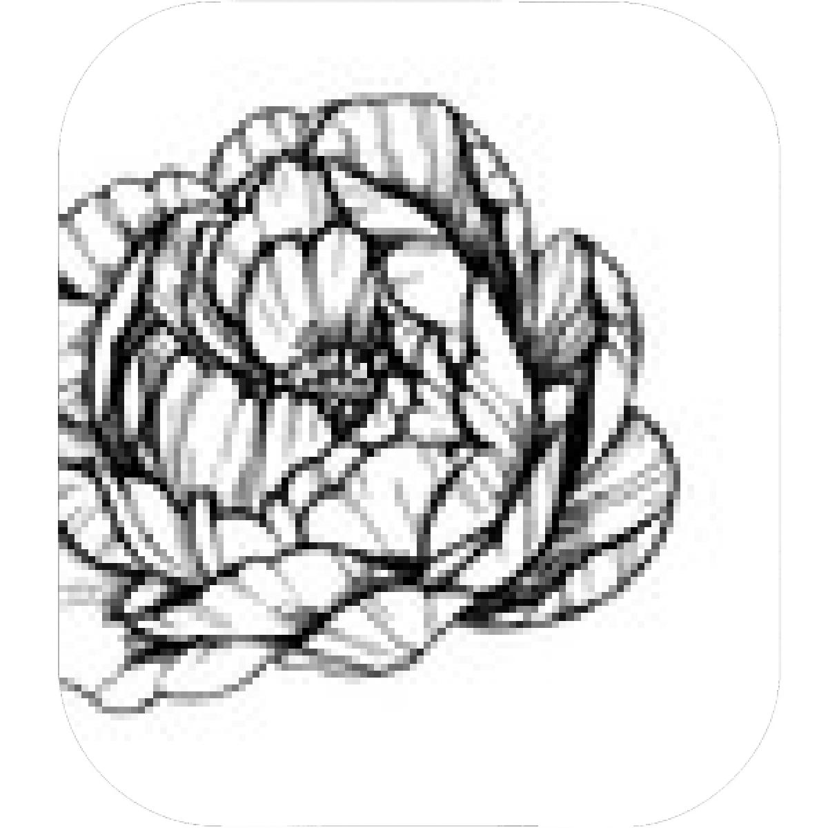 1200x1200 Designs Mein Mousepad Design Mousepad Selbst Designen