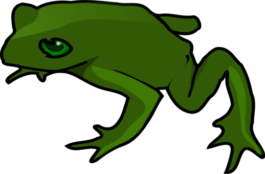 518x340 Drawing Frog Cartoony Transparent Png Clipart Free Download