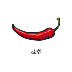 240x240 Chili Pepper Drawing Photos, Royalty Free Images, Graphics