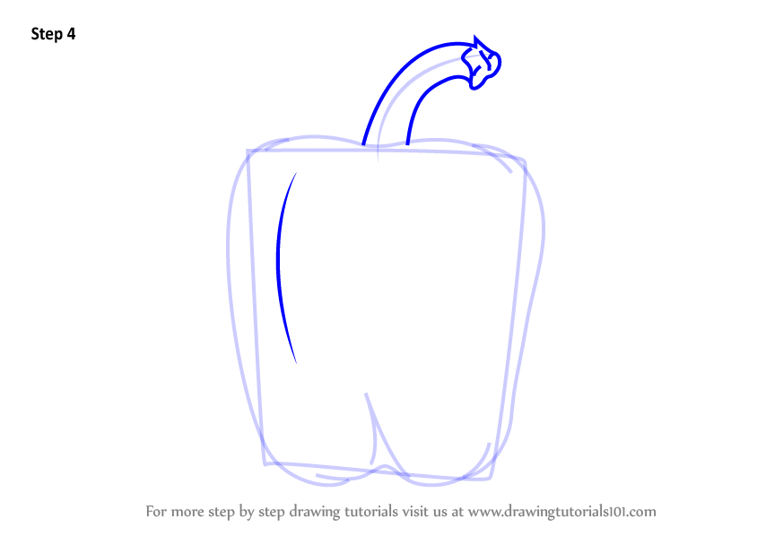844x598 Learn How To Draw A Green Pepper