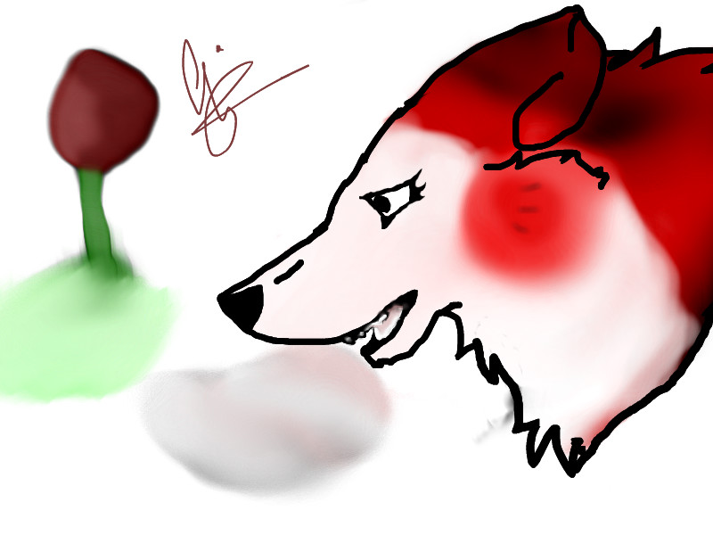 800x600 Peppermint Adopted Oc An Animals Speedpaint Drawing