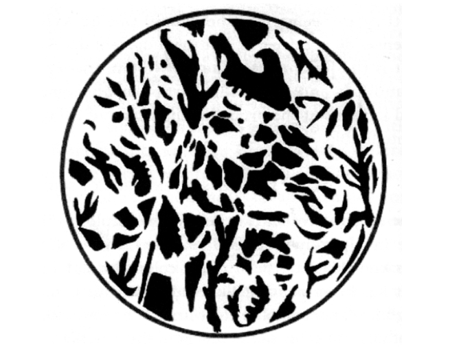 655x507 following perception up stream organizing ideas the coming into