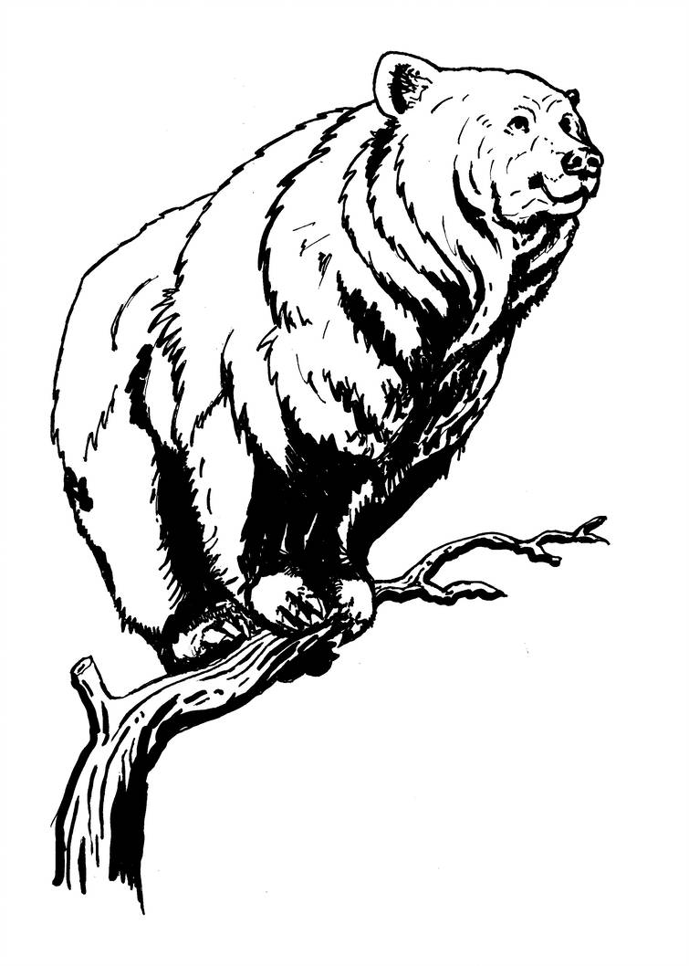 755x1058 Happy Bear Perch