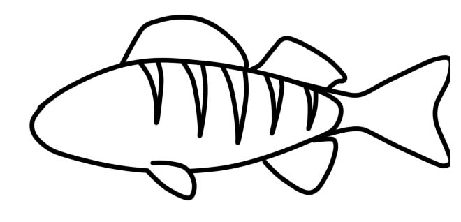 Perch Drawing | Free download on ClipArtMag