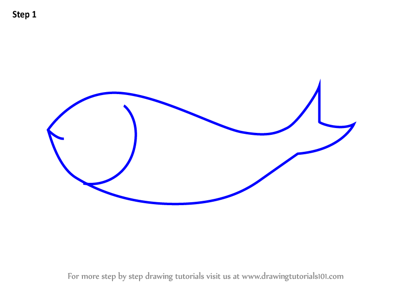 844x598 Learn How To Draw A Perch Fish For Kids