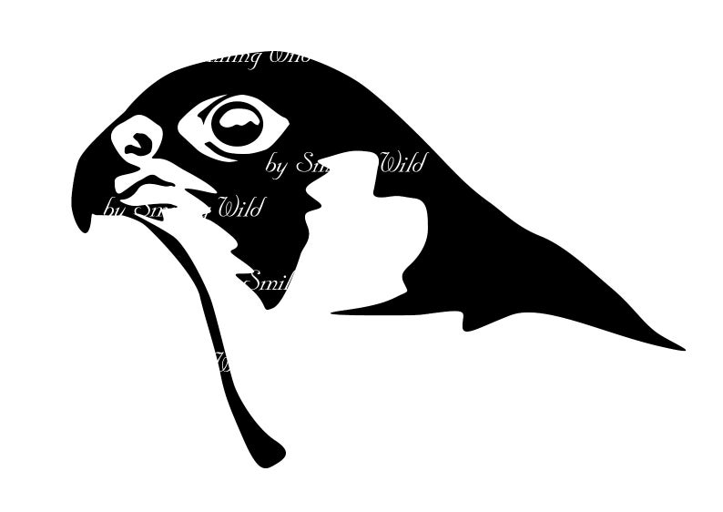 794x562 Peregrine Falcon Clipart Vector Graphic Art Duck Hawk Art Etsy