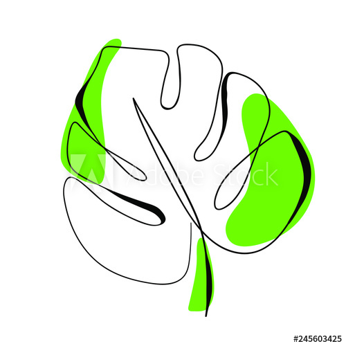 500x500 one line drawing vector monstera leaf modern single line art