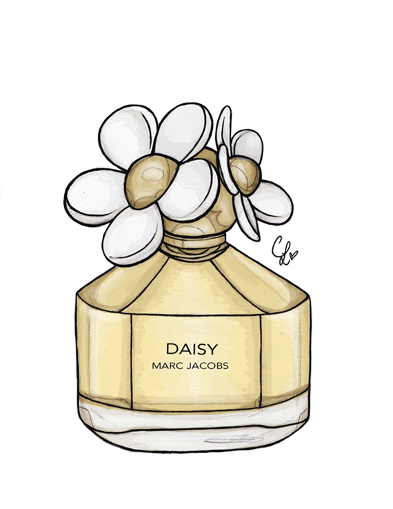 570x738 Daisy