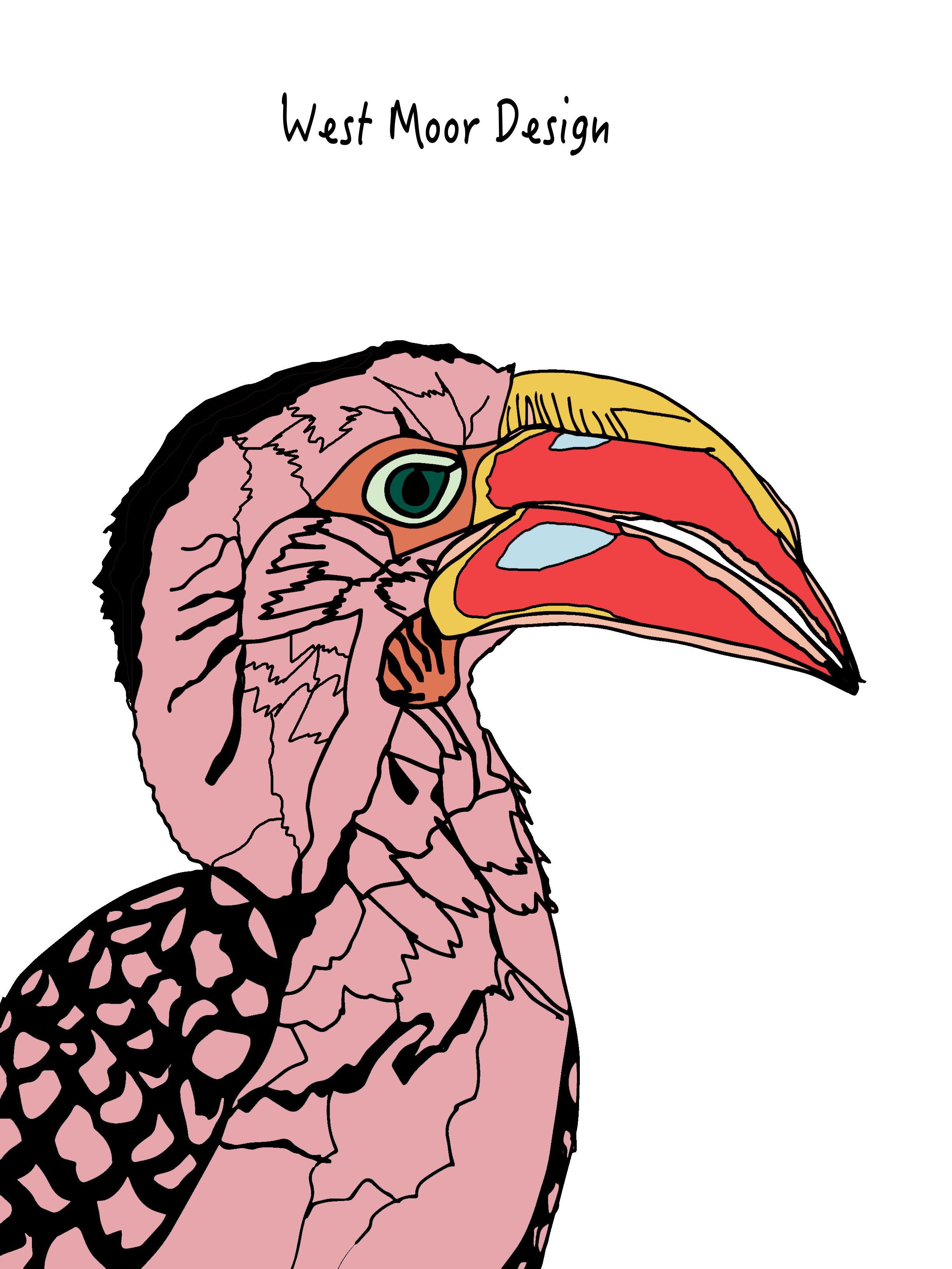 2448x3264 after a short period of things not going quite right and having no