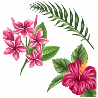 320x320 Hd A Ca F Orig Png Flowers