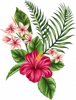 250x329 Hawaiian Flower Drawing Pictures And Cliparts, Download Free