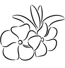 219x230 image result for periwinkle flower drawing cherry blossom scarf