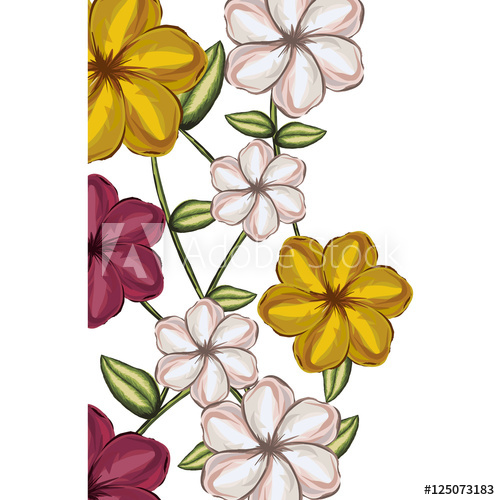 500x500 delicate flower drawing icon image vector illustration design
