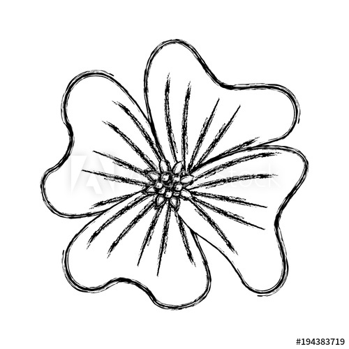 500x500 flower periwinkle delicate decoration floral nature petals vector