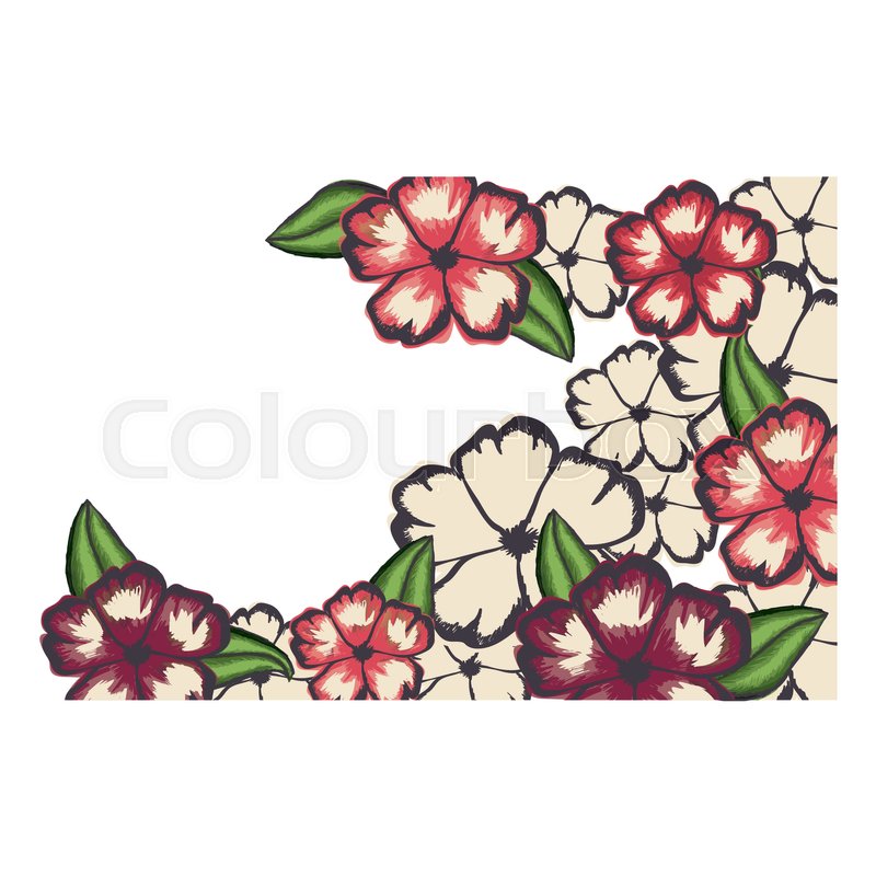800x800 delicate flower drawing icon image stock vector colourbox