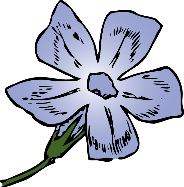 588x598 Drawing, Flower, White, Transparent Png Image Clipart Free Download