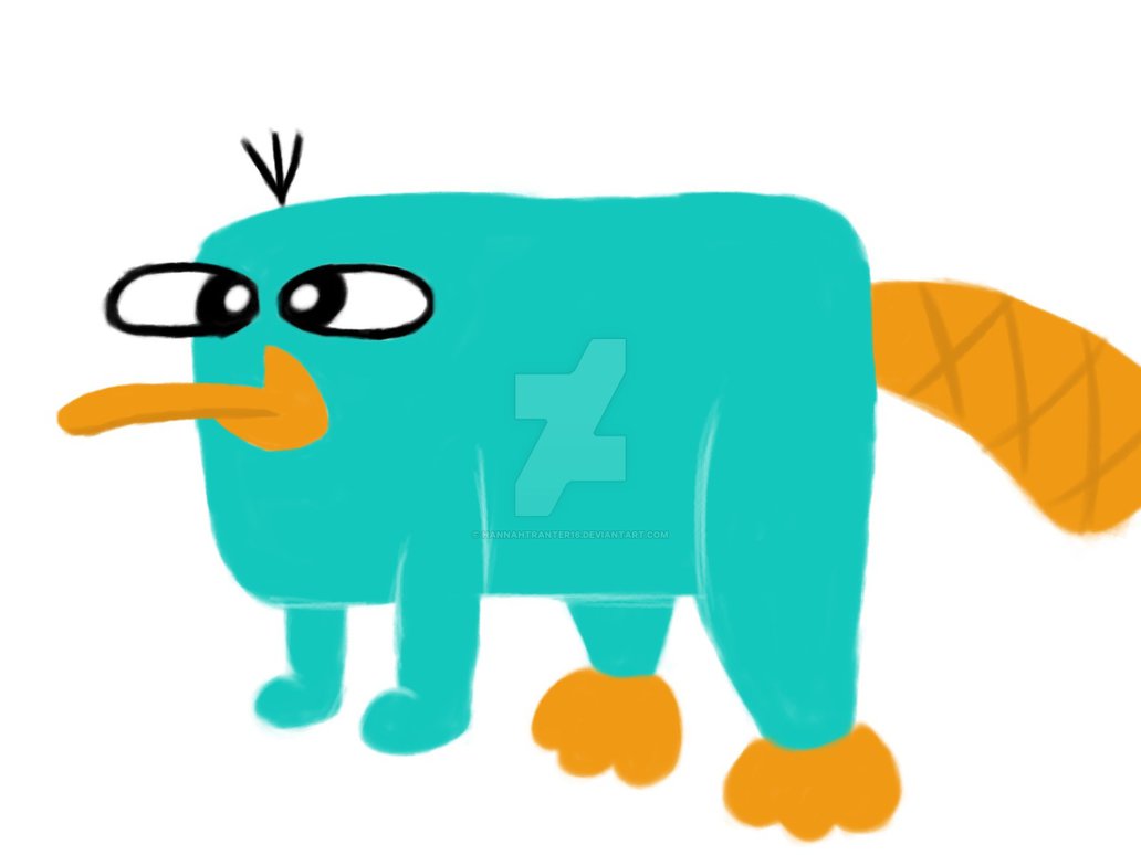 1032x774 Perry The Platypus