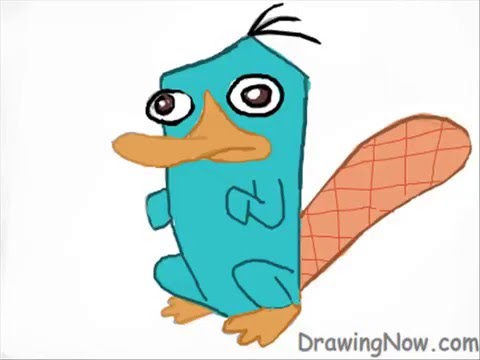 480x360 How To Draw Perry The Platypus