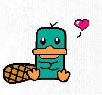 356x333 Perry The Platypusphineas And Ferb Animals Cute Disney