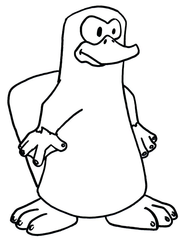 623x850 drawing of a platypus platypus drawing how to draw a platypus