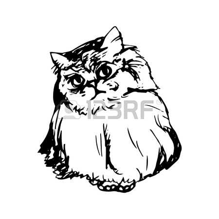 450x450 persian clipart fluffy cat