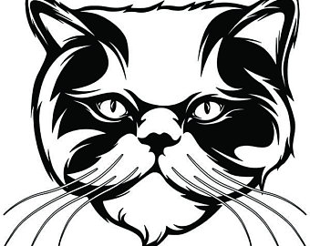 340x270 persian cats clipart etsy
