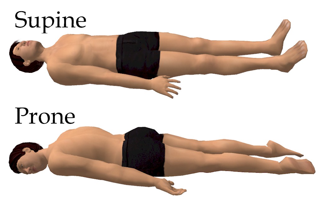 1049x665 Supine Position