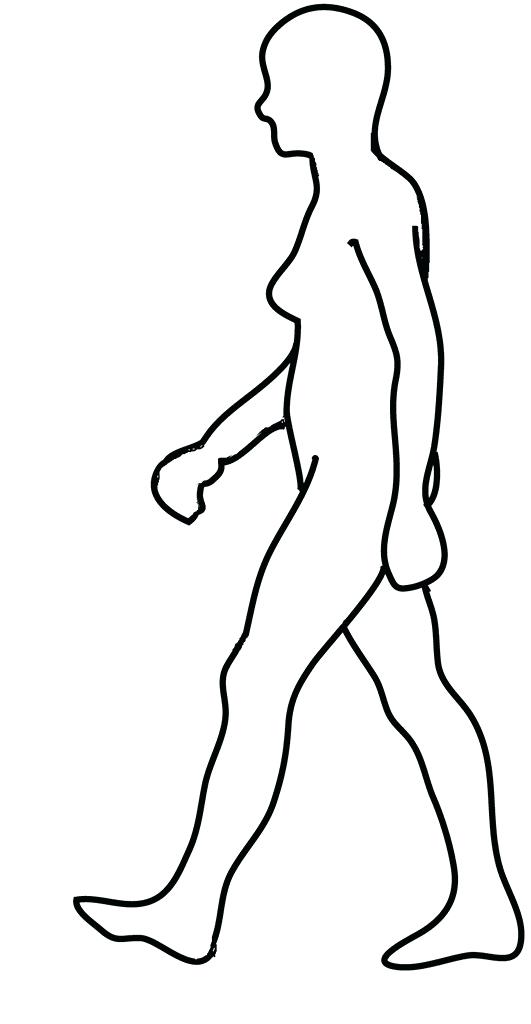 531x1024 Outline Of A Person Body Silhouettes Outline Person Clipart