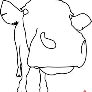 300x300 Cow Drawing Easy