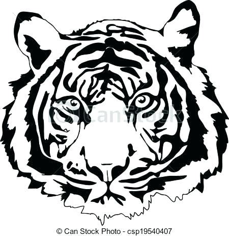 450x463 Tiger Face Outline Tiger Face Outline Drawing At Free For Personal