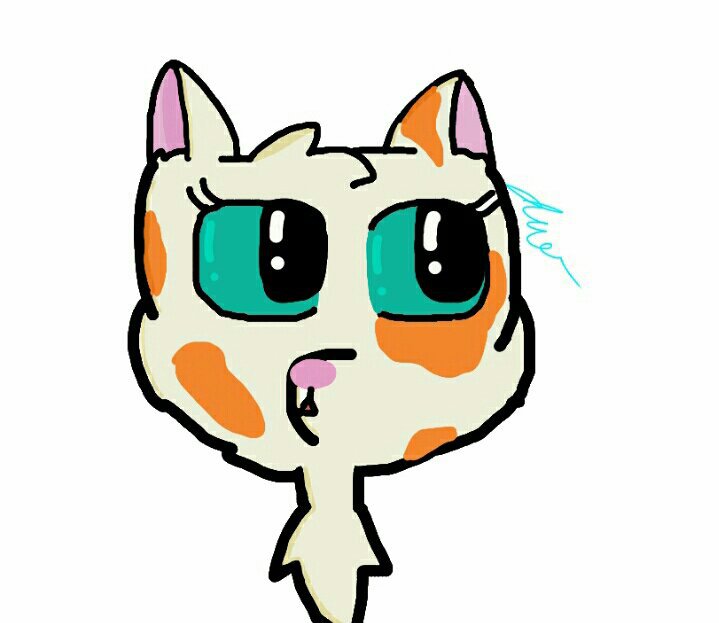 719x623 Peachpaw! And Free Drawings! Warriors Amino