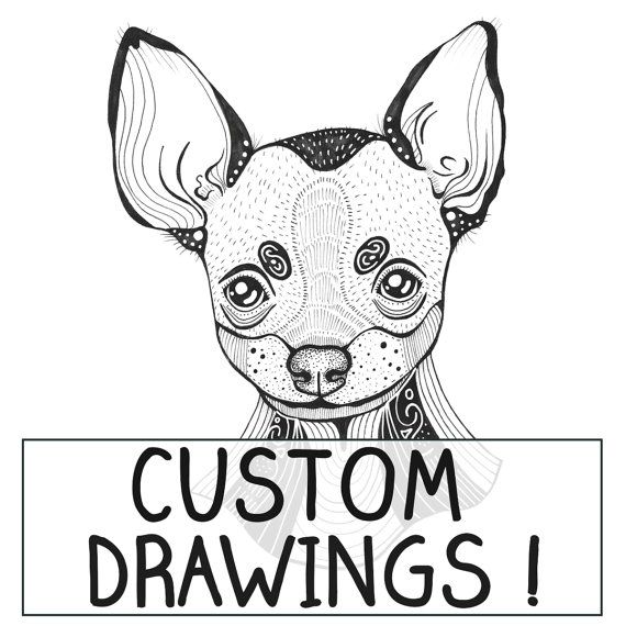 570x570 Custom Personalised Dog Illustration