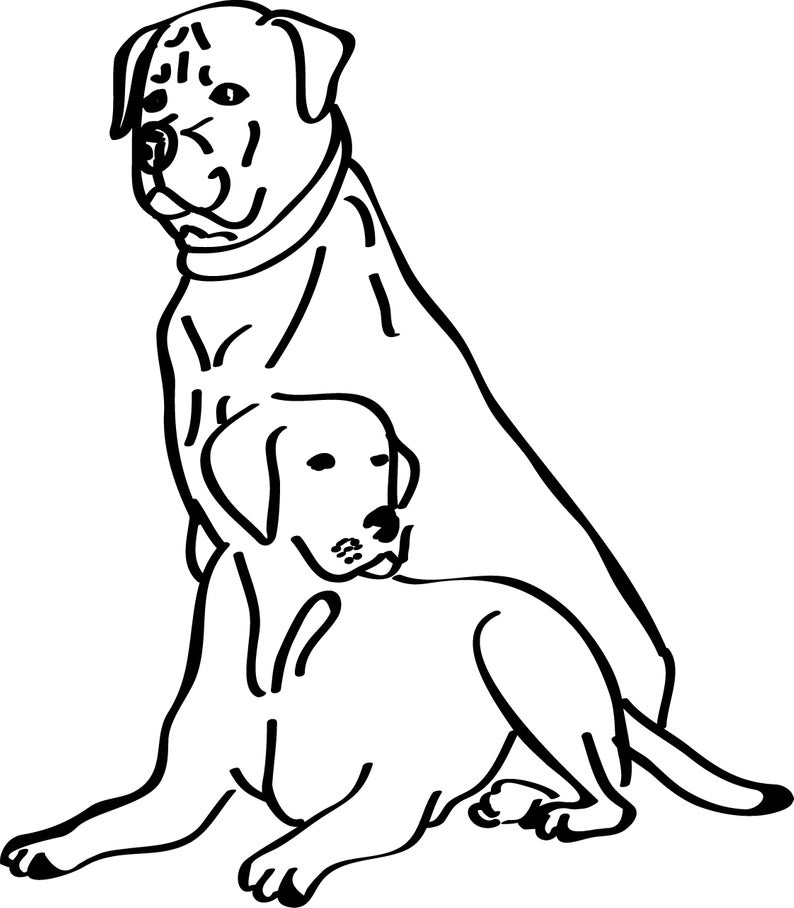 794x908 Customized And Homemade Pet Drawings Etsy