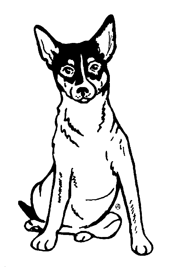 600x940 Order A Personalized Pet Memorial Stone