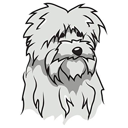 425x425 Signmission Maltese Decal Indooroutdoor Dog Lover