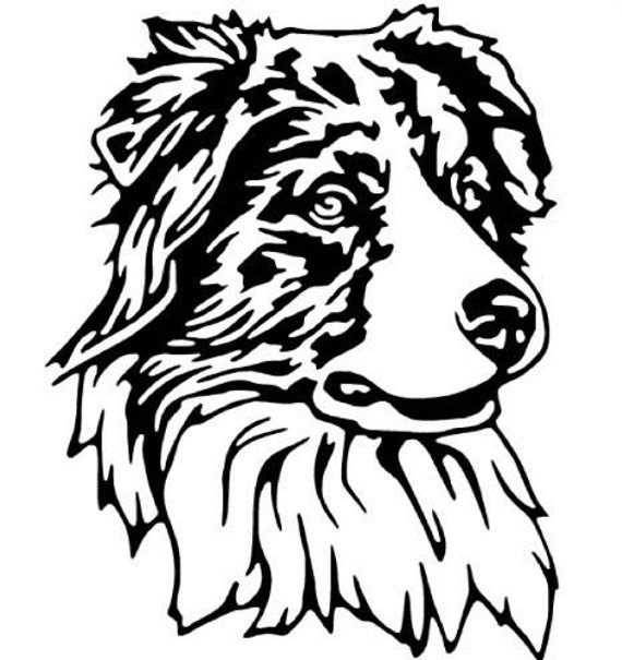 570x605 australian shepherd vinyl decal aussie dog car sticker