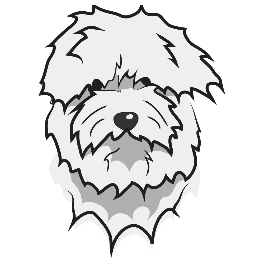 1000x1000 Coton De Tulear Dog Decal Dog Lover Vinyl Sticker Ebay