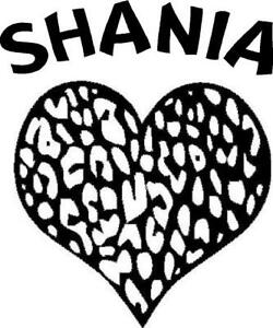 250x300 Personalized Name And Leopard Heart Vinyl Decalsticker Window