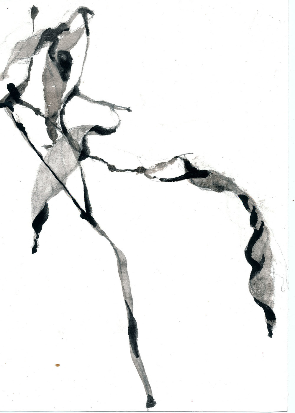 1000x1398 field studies abby goldstein art + design