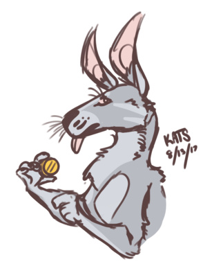 320x394 Kangaroo Drawings On Paigeeworld Pictures Of Kangaroo