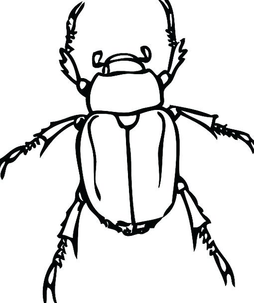 510x609 how to draw a beetle author drawing beetlejuice draw a door