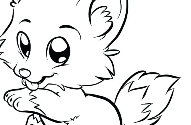 640x420 Drawings Of Animals Step