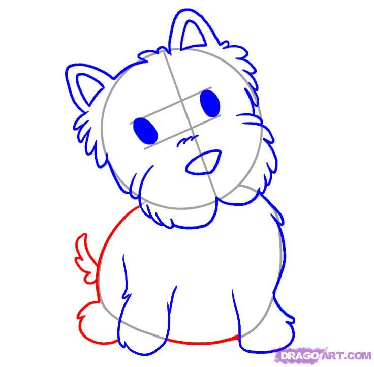 736x722 how to draw a westie, step