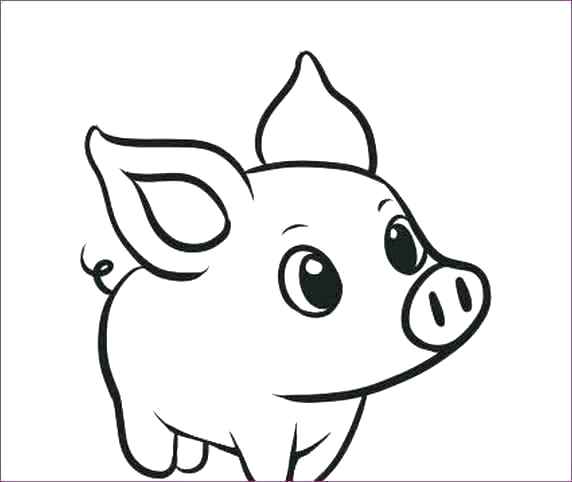 572x482 Animals To Draw Animals Drawing Pictures In Colour