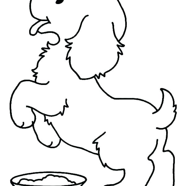600x600 Coloring Pages Pet Animals