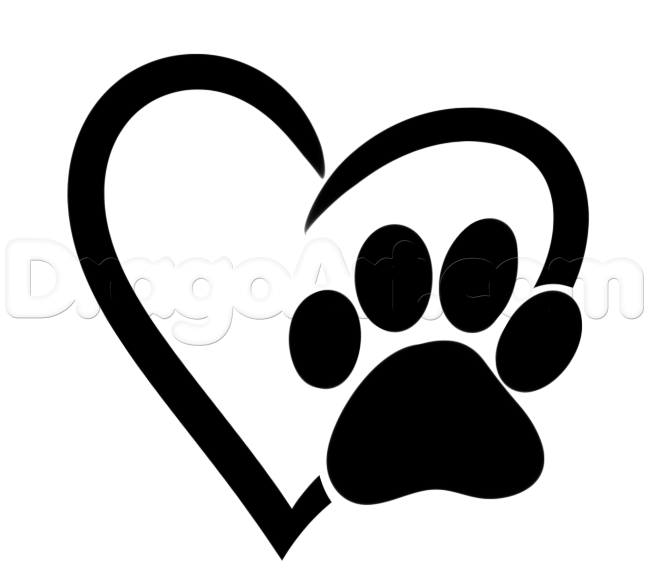 649x582 Love My Pet Drawing Lesson, Step