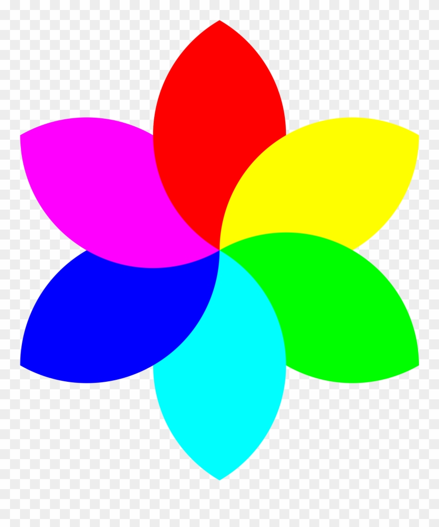 880x1056 Cool Drawings Of Seven Petaled Flowers Clipart Best