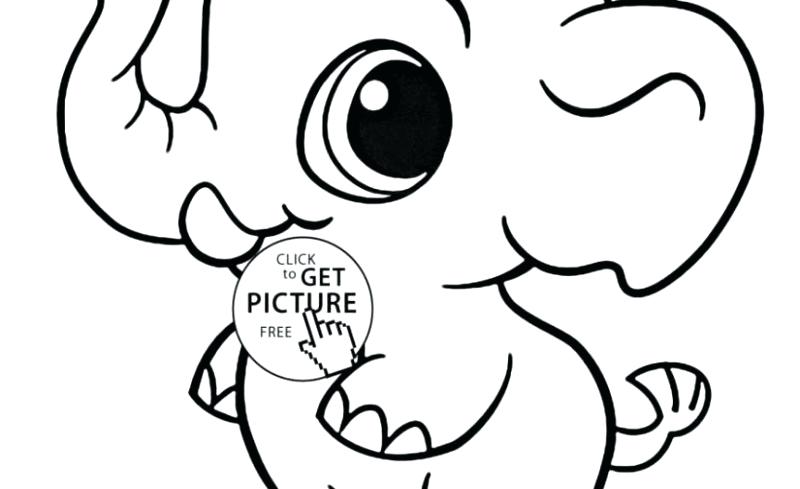 800x489 Pan Coloring