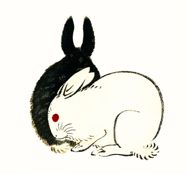 600x555 Peter Rabbit Paintings